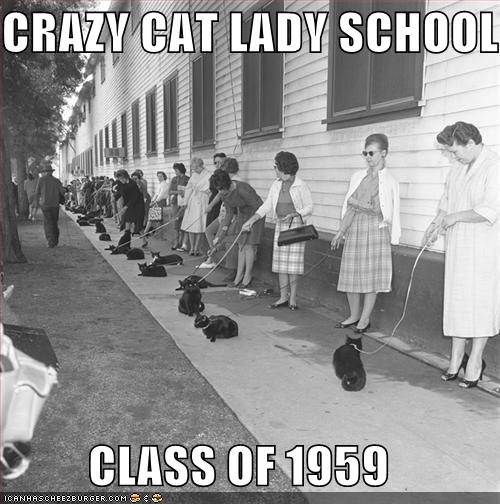 funny-pictures-crazy-cat-lady-school