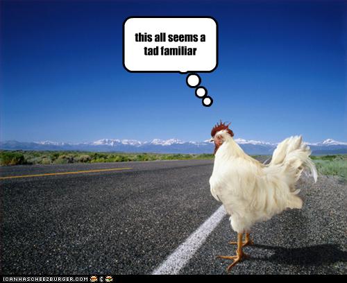 funny-pictures-chicken-crosses-road