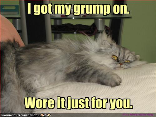 funny-pictures-cat-is-wearing-a-grump2