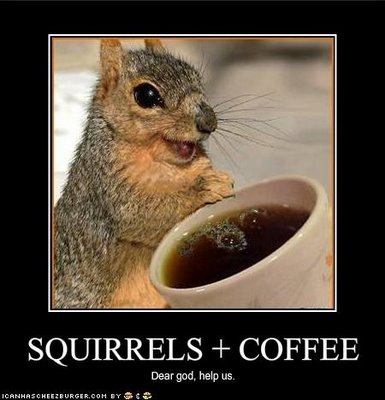 squirrels_and_coffee